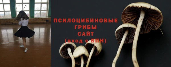 ALPHA PVP Баксан