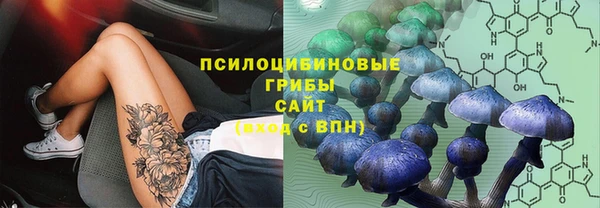 стаф Балабаново